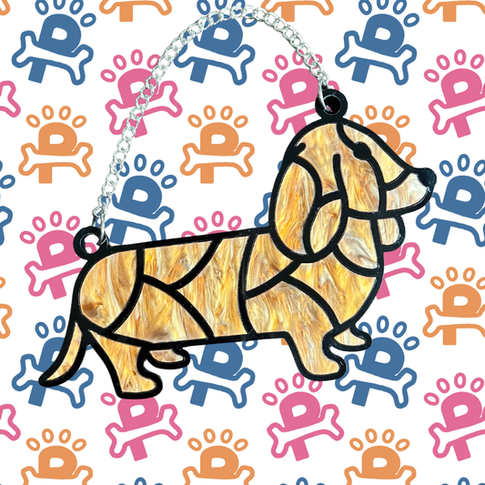 Dachshund
