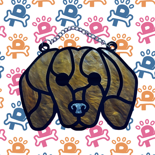 Hound / Dachshund