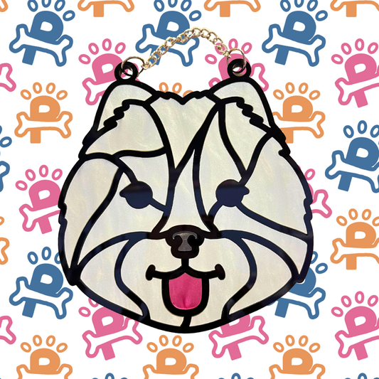 Samoyed / Pomeranian