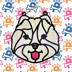 Samoyed / Pomeranian