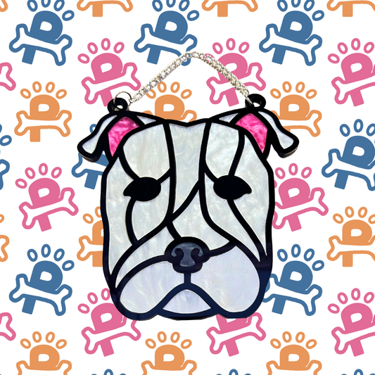 Pit Bull