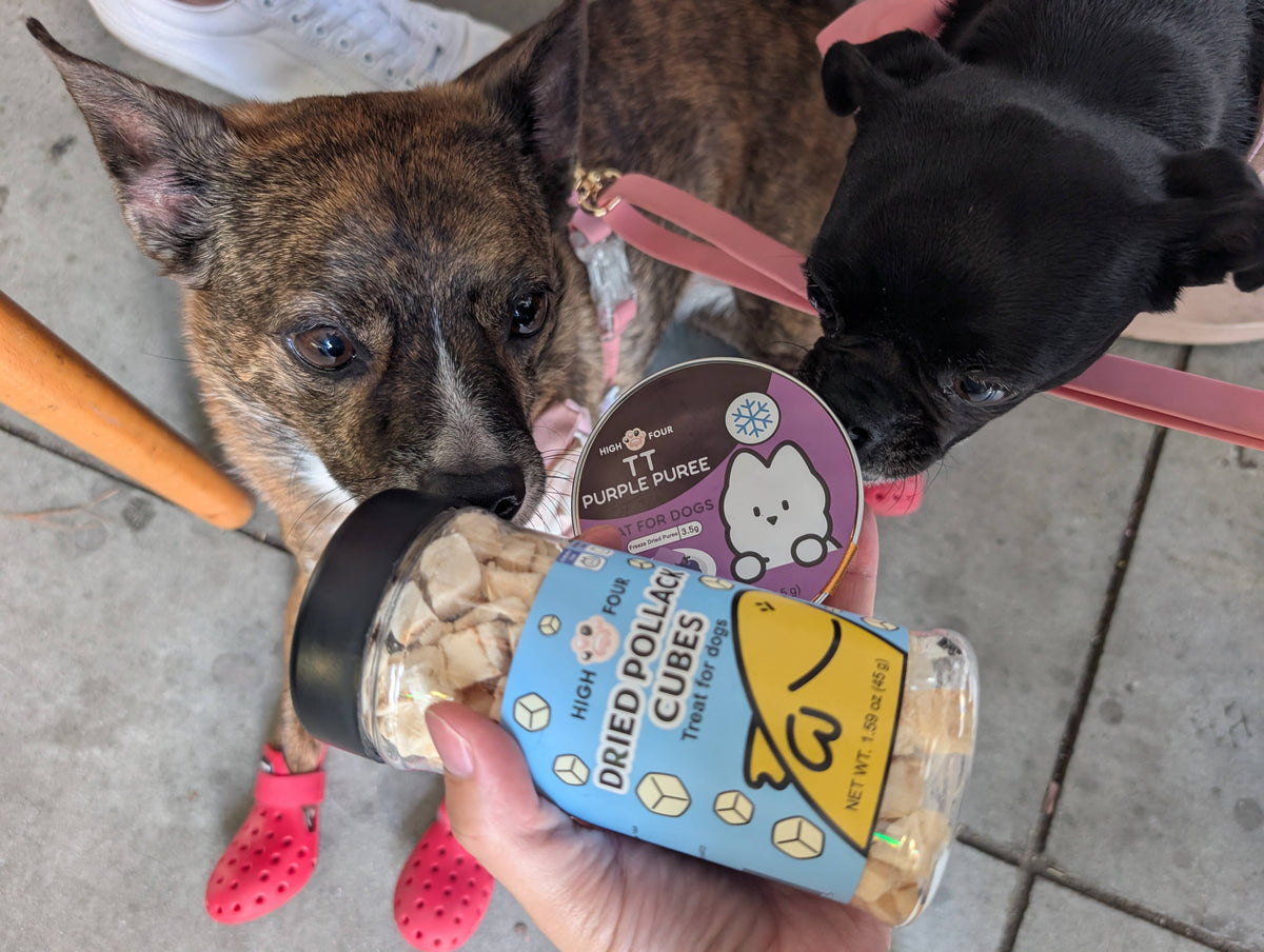 High Four TT Wholesome Purple Puree for Dogs