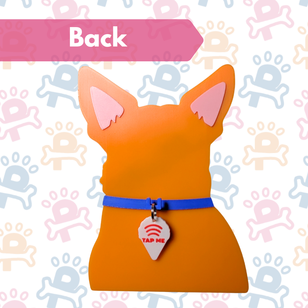 Snowcone Smart Tag