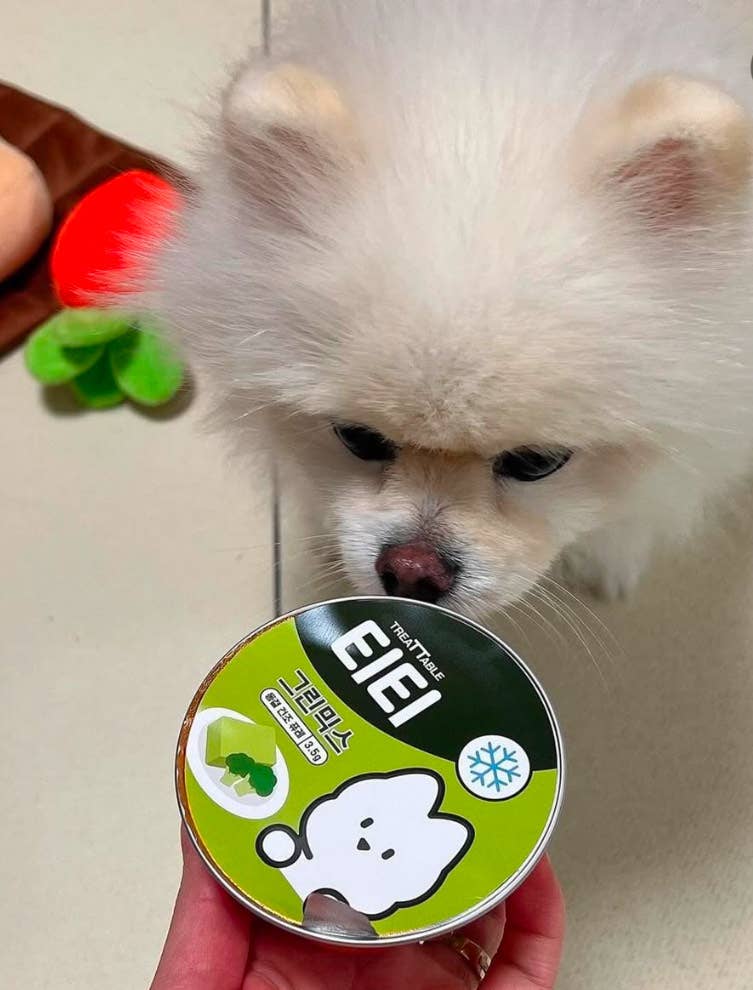 High Four TT Wholesome Green Puree for Dogs