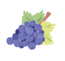 Grapes / Raisins