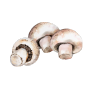 Mushrooms